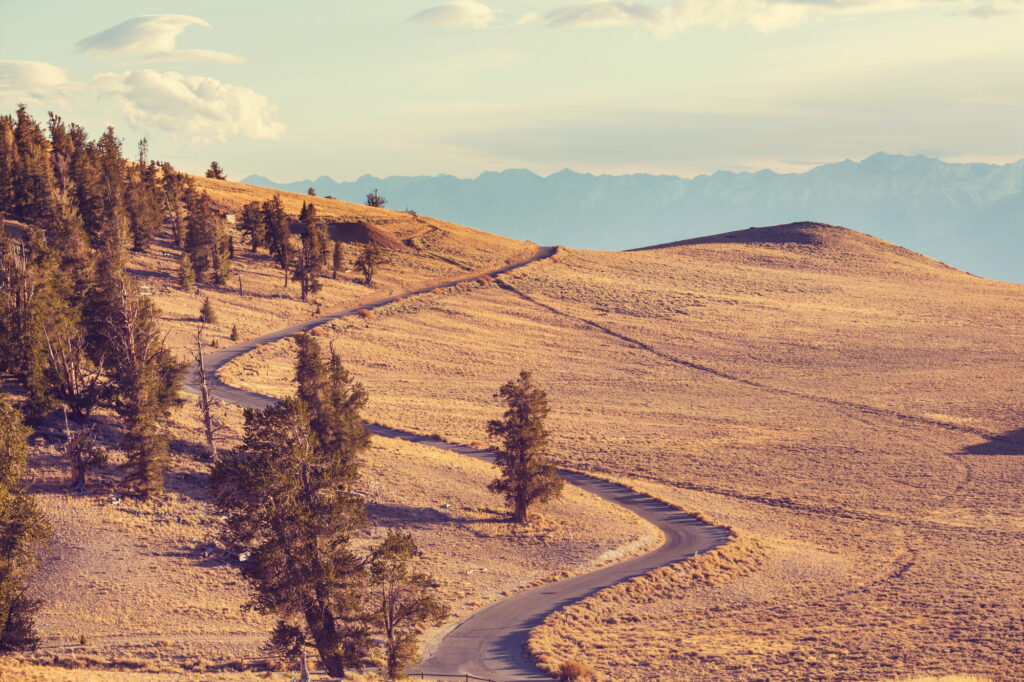 Road in prairie